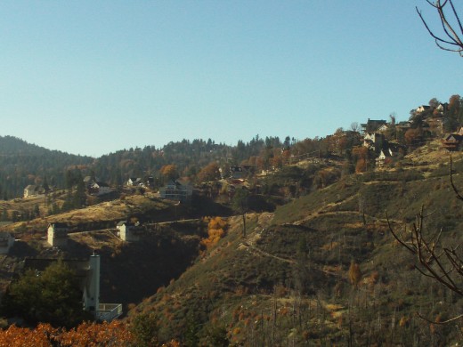 Looking at a hillside with trees and houses.