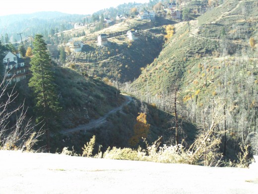 A dirty road and trees in the canyon below.