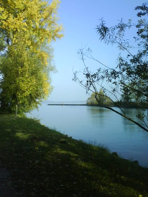 Autumn Scenery - Biel, Le Landeron - Walk Along The River