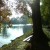 Autumn Scenery - Walk Along The River