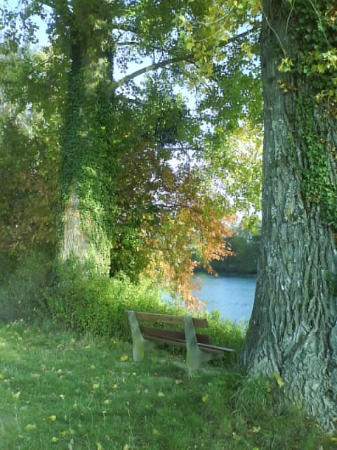 Autumn Scenery - Walk Along The River