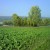 Autumn Scenery - Biel, Le Landeron - Walk Along The River