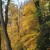 Autumn Scenery - Bern - Walk  Along The River