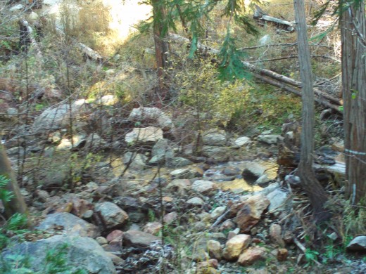 A little stream up in the San Bernardino Mountains.