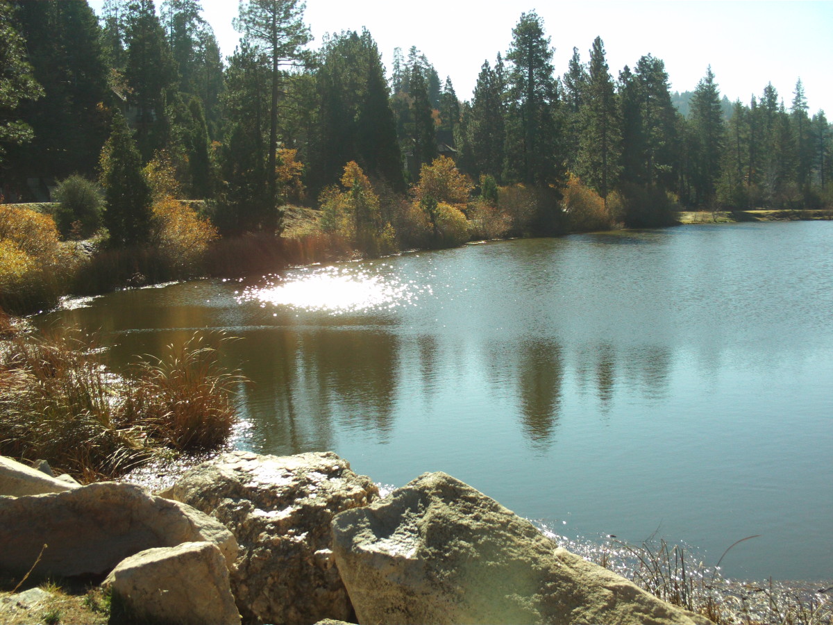 The Beauty of Grass Valley Lake Up In The San Bernardino ...