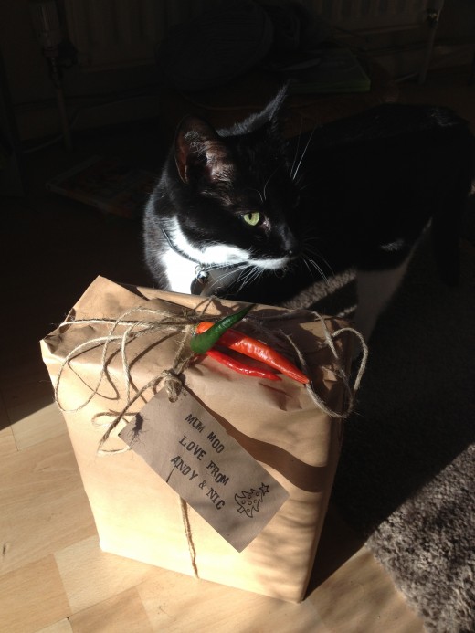 Cat not included in wrapping!