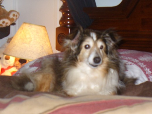 They swore she would die shortly after her tenth birthday... She died at 17!