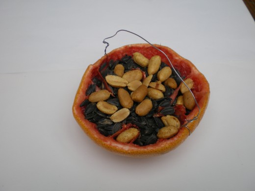 grapefruit half filled with raisins, peanuts and sunflower seeds