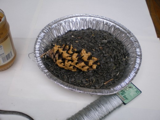 wired pine cone with peanut butter, rolling in sunflower seeds