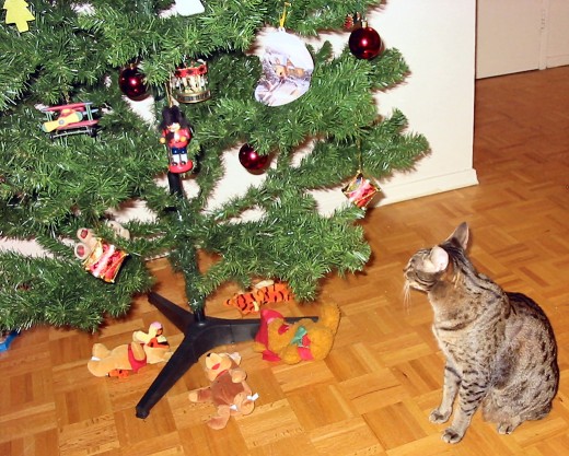 Boo admiring the artificial Christmas tree.