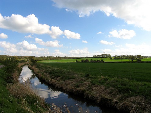 River Stream as Passive Money 