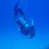 Martin Sadler profile image