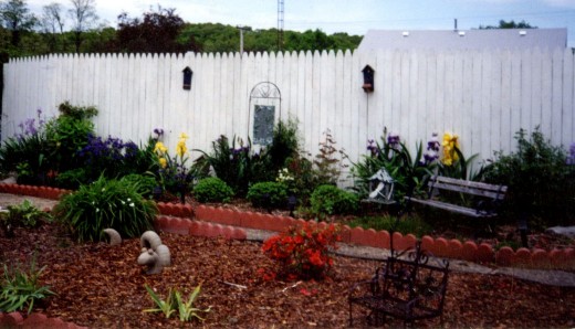 New bed with plantings widely spaced