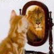 jeresteem99 profile image