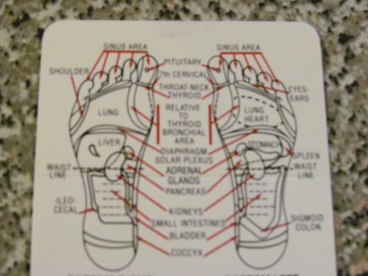 Diagram of left and right feet from the International Institute of reflexology. 