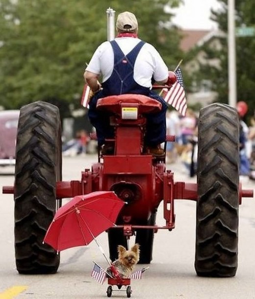 One of the CUTEST pictures ever! A farmer working being followed by his faithful companion... awwwwww!! 