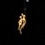 Stars trailing in the night. Stars trailing in the night.