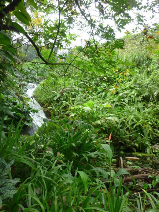 A waterfall tumbles down through the jungle.