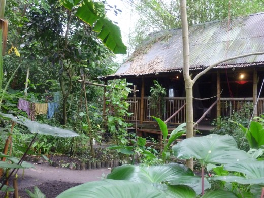 A Malaysian homestead in the Tropical biome.