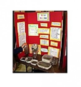 Science Fair Projects - Project Boards And Displays