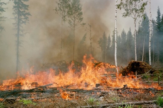 Imagine if someone was burning your home down. :(