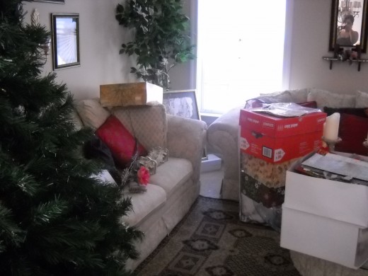 Start bare, empty tree and boxes