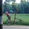 RCHOUDH profile image