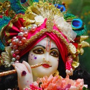 jayraj74 profile image
