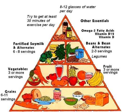 Vegan Food Pyramid for Vegetarian Diets | hubpages