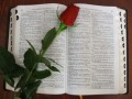 How to Study the Bible:  Three Methods to Help Make the Word Come Alive