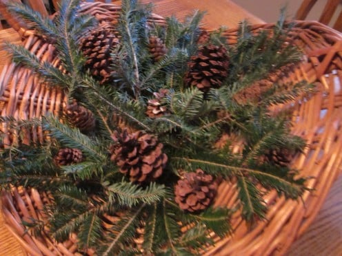Place Pinecones Among the Branches and Tuck in smaller Branches