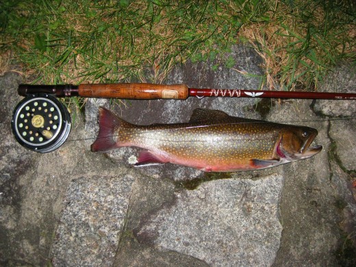 Large Brook Trout caught at Profile Lake, New Hampshire