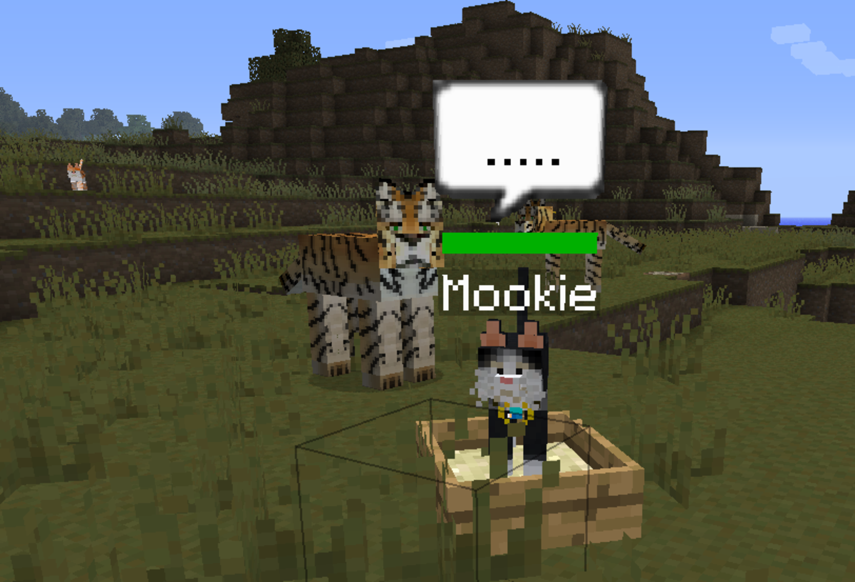 "Minecraft" Pet Cats How to Tame and Feed Them LevelSkip