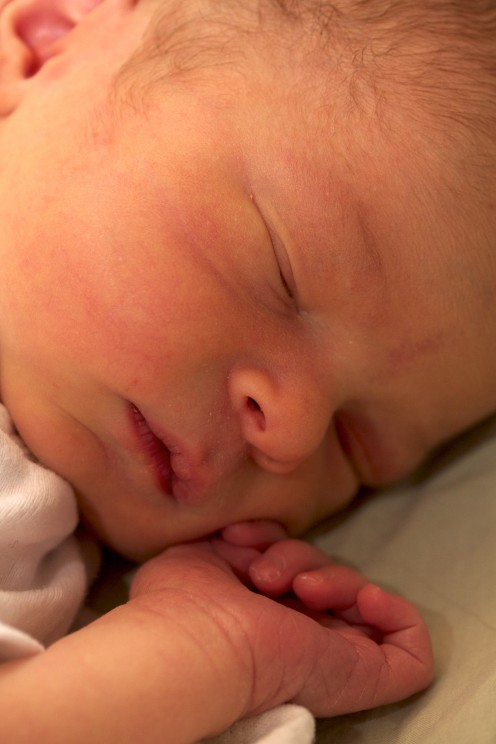 Learn the secrets of baby-making and one of these can be yours.