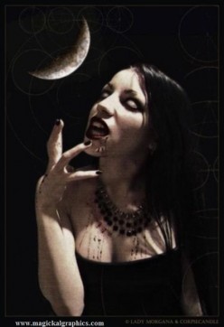 Vampires Vs. Werewolves History