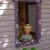 Alex is peaking out of the Alex is peaking out of the