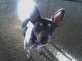 Lee-Lee a.k.a. VICIOUS The Truest "G"