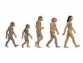 Natural Selection: Evolution Vs Intelligent Design? Or Both?