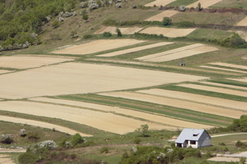 HubPages profile picture for @farmland