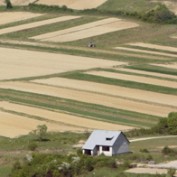 farmland profile image