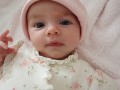 A Day in the Life of a Little Baby: A Photo Gallery