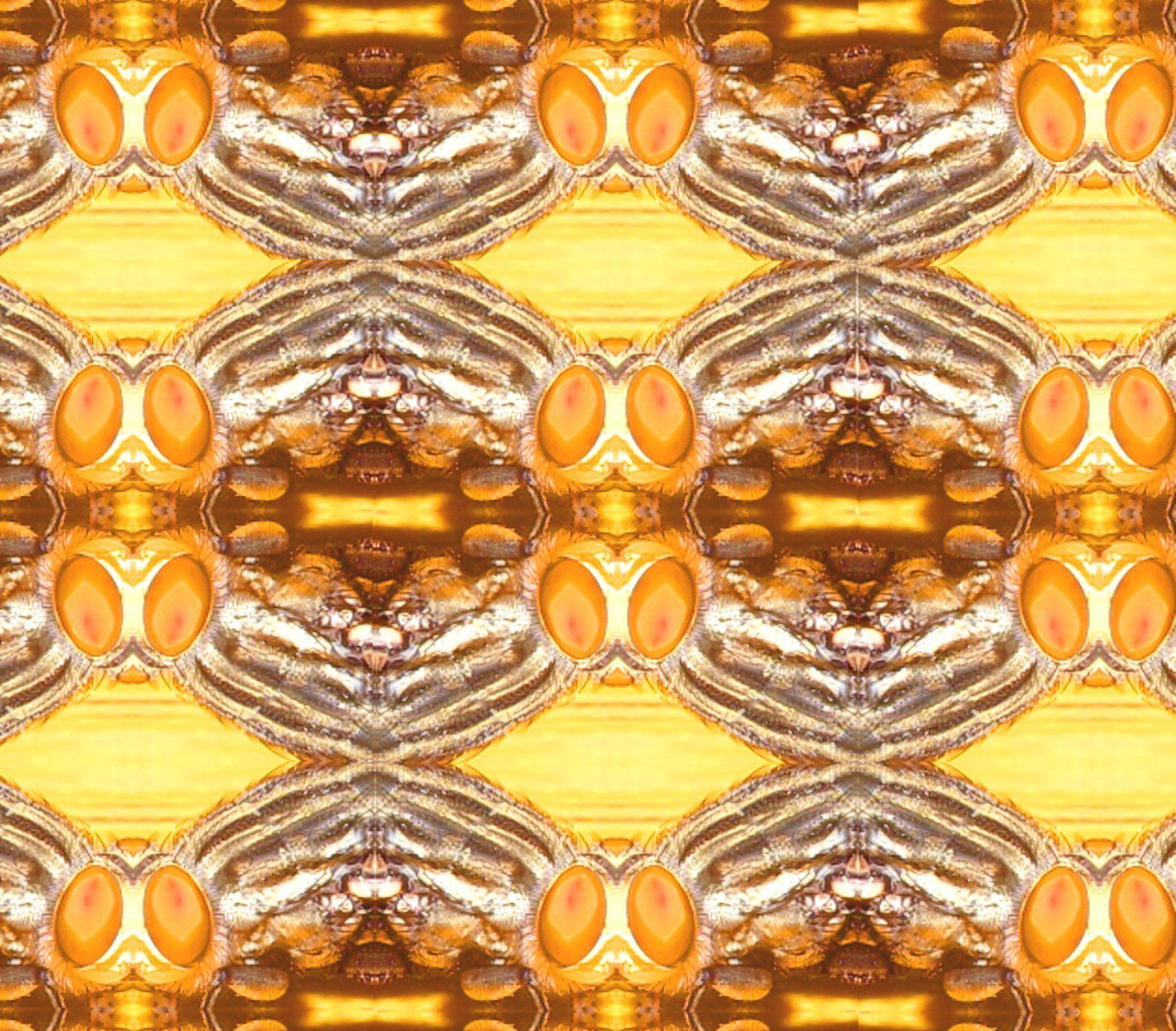 Easy Digital Art | Symmetrical abstract of a blowfly