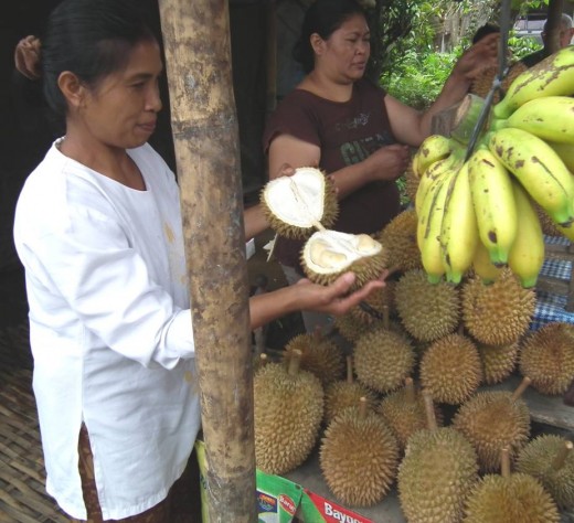 The notorious Durian
