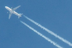 Flight Dreams: Airline Jobs and Salaries