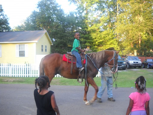 Taking Turns Riding a Real Horse