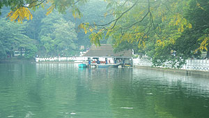 Kandy Lake and Joy boat-riding service