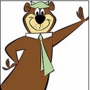 The Bear Yogi profile image