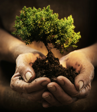 Inspiring:a tree is truly independent, relying solely on God, nature and itself for survival. To me, to be independent is to be like the tree, to have the qualities of a tree. strong, offers shade, fruit and shelter to those who need it, taking nothi