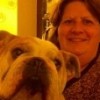 bulldogmama profile image