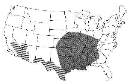 Dark area shows region the Brown Recluse can be found